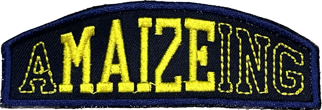 Amaizing Custom Embroidered Patch- Choose Sew or Iron On